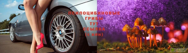 прущий лед Волосово
