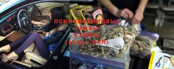 стаф Волоколамск