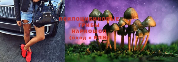 a pvp Володарск